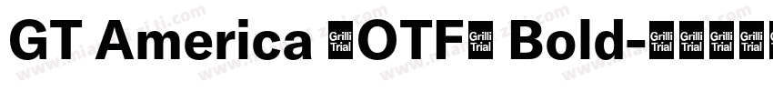GT America (OTF) Bold字体转换